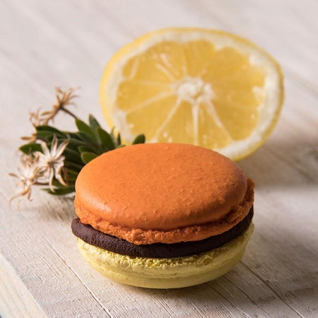 Colección Verano 2019