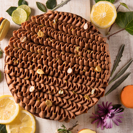 Colección Verano 2019